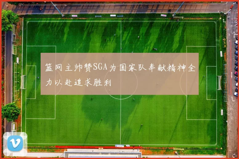 篮网主帅赞SGA为国家队奉献精神全力以赴追求胜利